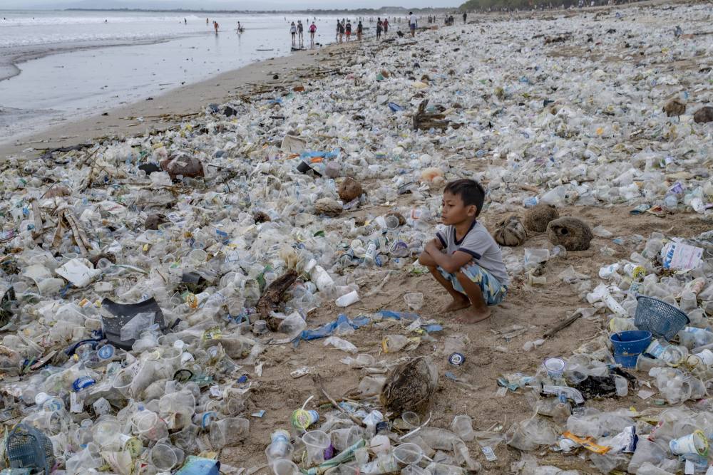 biodegradable plastic bags