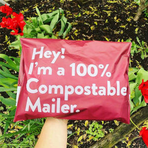 environmentally friendly postage bags