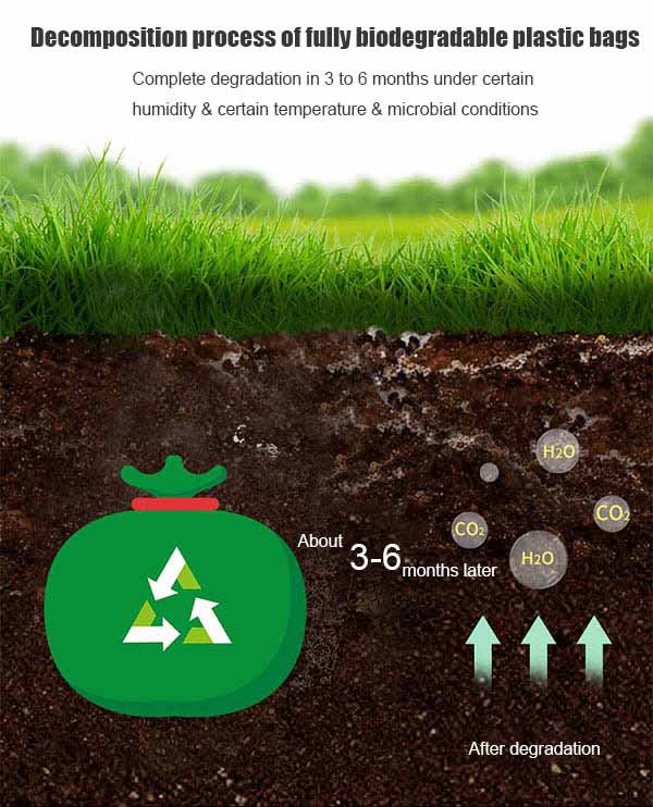 Biodegradable Bags Have Passed the Sanitation and Safety Confirmation Biodegradable Bags Have Passed the Sanitation and Safety Confirmation