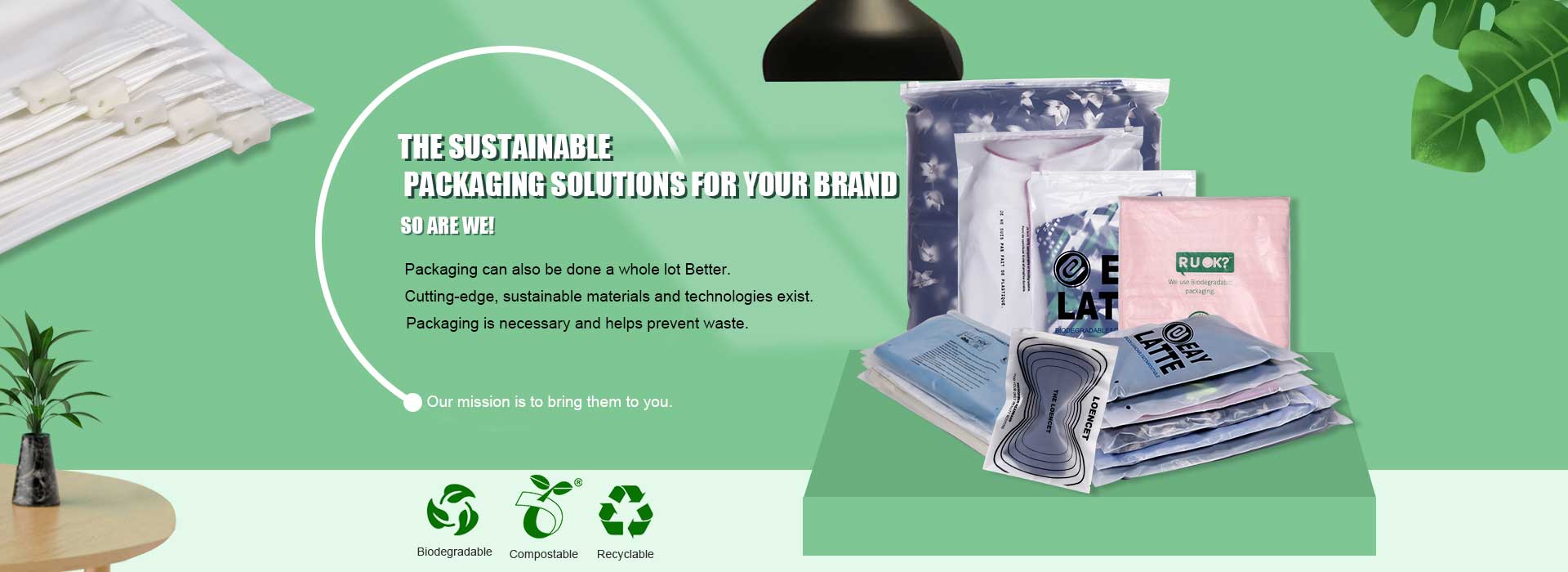 Why biodegradable bags plastic market demand is relatively small?