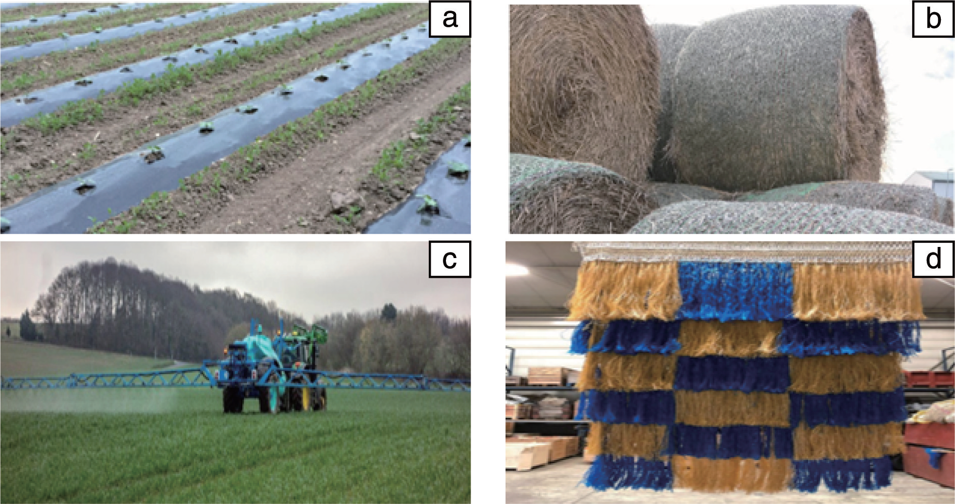 decomposition of bio-starch-based plastics