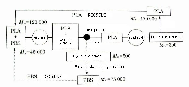 Popular Science | Recycling and Recycling Technology of Biodegradable Plastics (4)