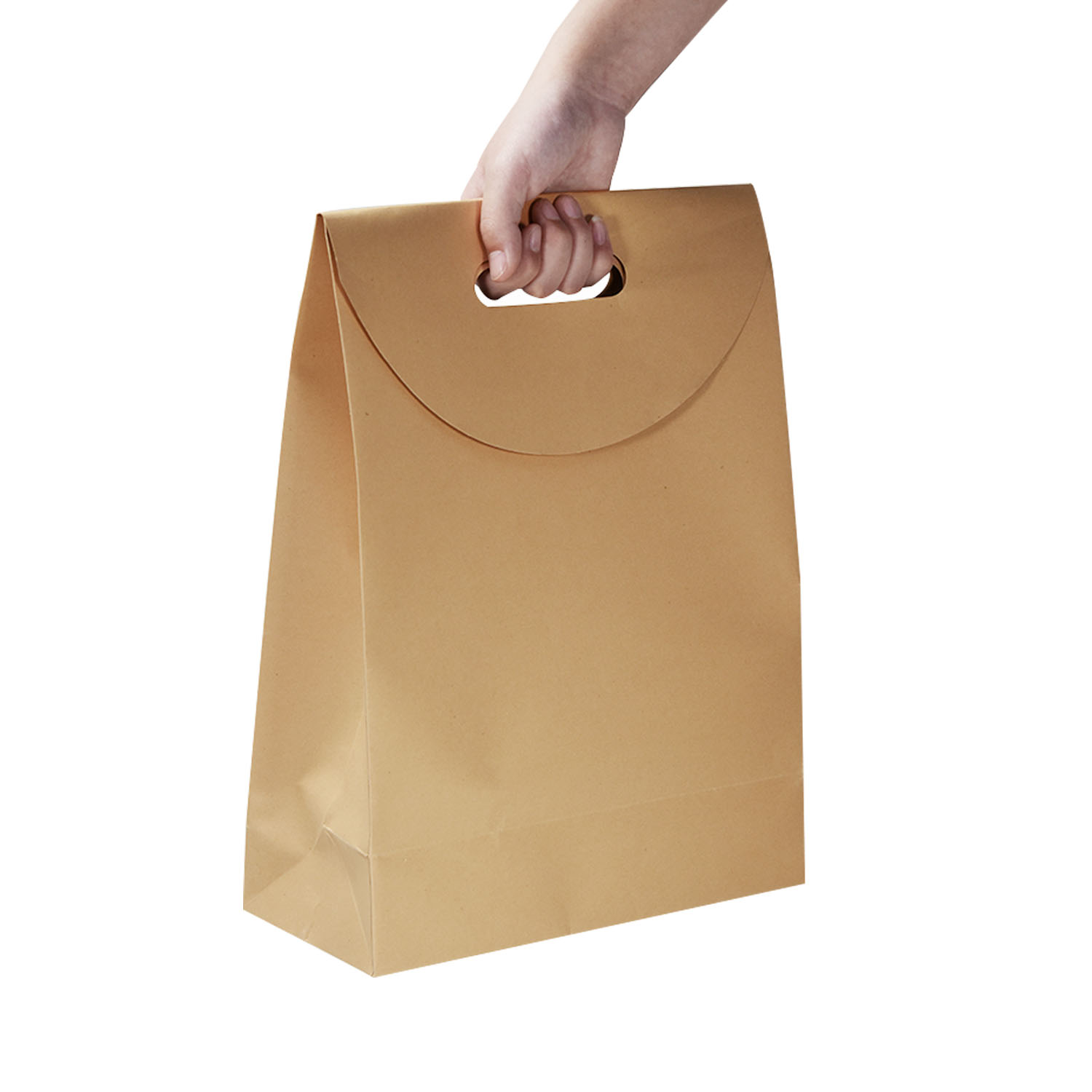 Carry  Kraft Paper Bag